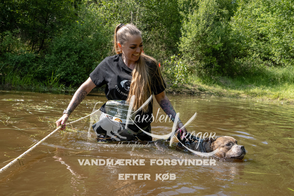 1542DKK991935 | kk-dogfotos