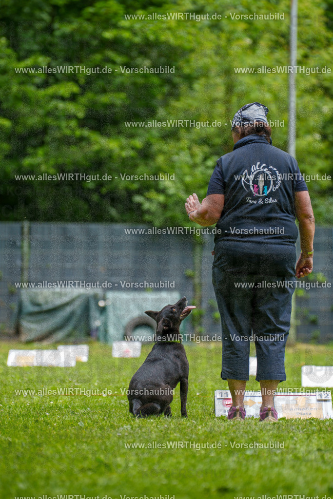 @allesWIRTHgut_Tierfotografie - www.allesWIRTHgut.de - 124429-7R509394 | Professionelle Tierfotografie in Mönchengladbach von Daniel Wirth (allesWIRTHgut). Liebevolle & natürliche Bilder von Hunden & Katzen für unvergessliche Erinnerungen.