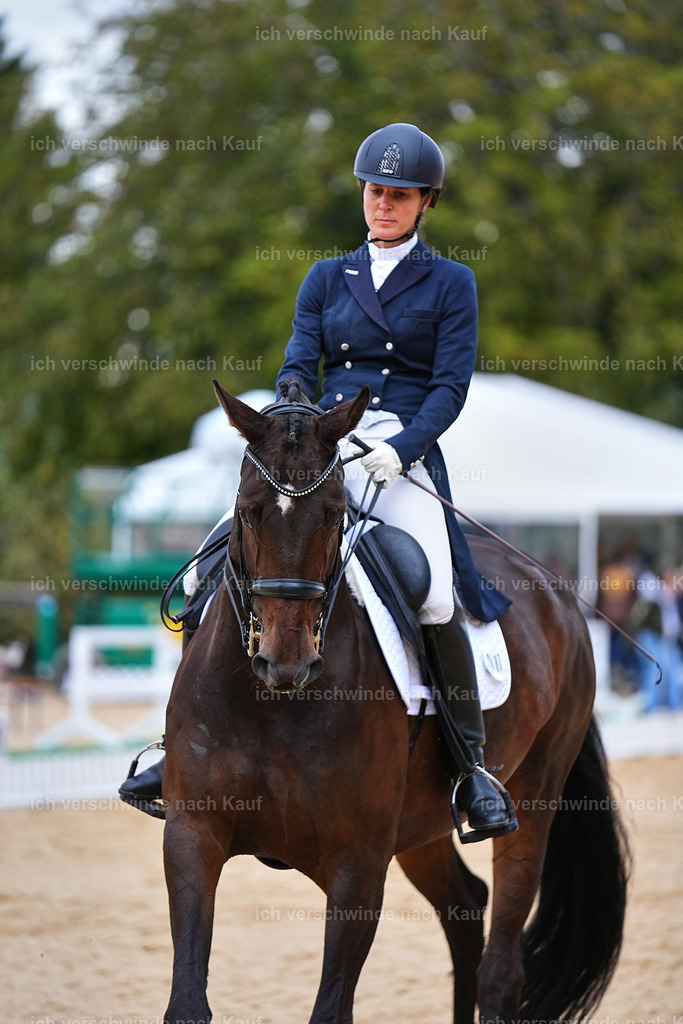 8_1-087-Klasse S_  -Marixx-4114 | working equitationturnier fotograf videograf stoibphotography marixx film working equitation deutschland reitsport turnierfotografie eventfotografie equestrian events