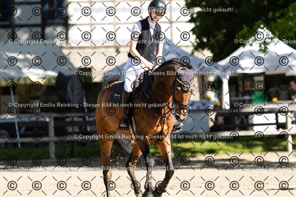 CL5A3915 | Emilia Reinking Fotografie - Realisiert mit Pictrs.com