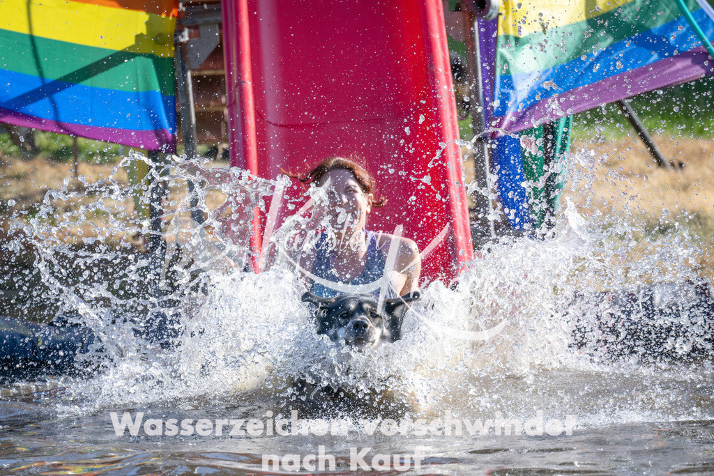 1707_ZZ93337 | kk-dogfotos