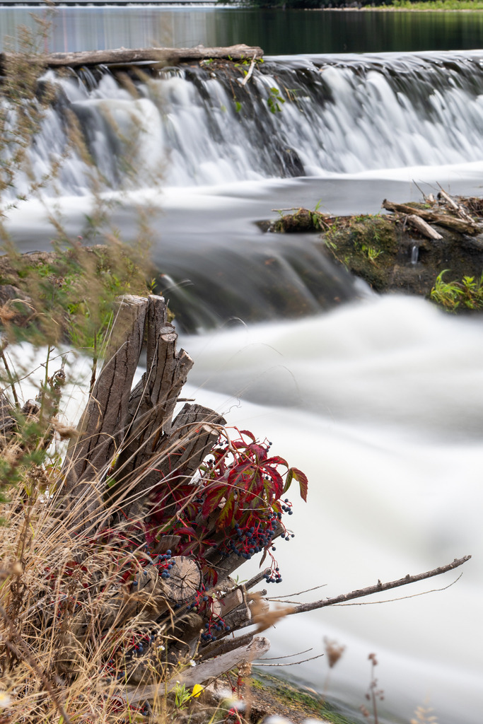 IMG_4432 | ehrlichefotos - Realisiert mit Pictrs.com