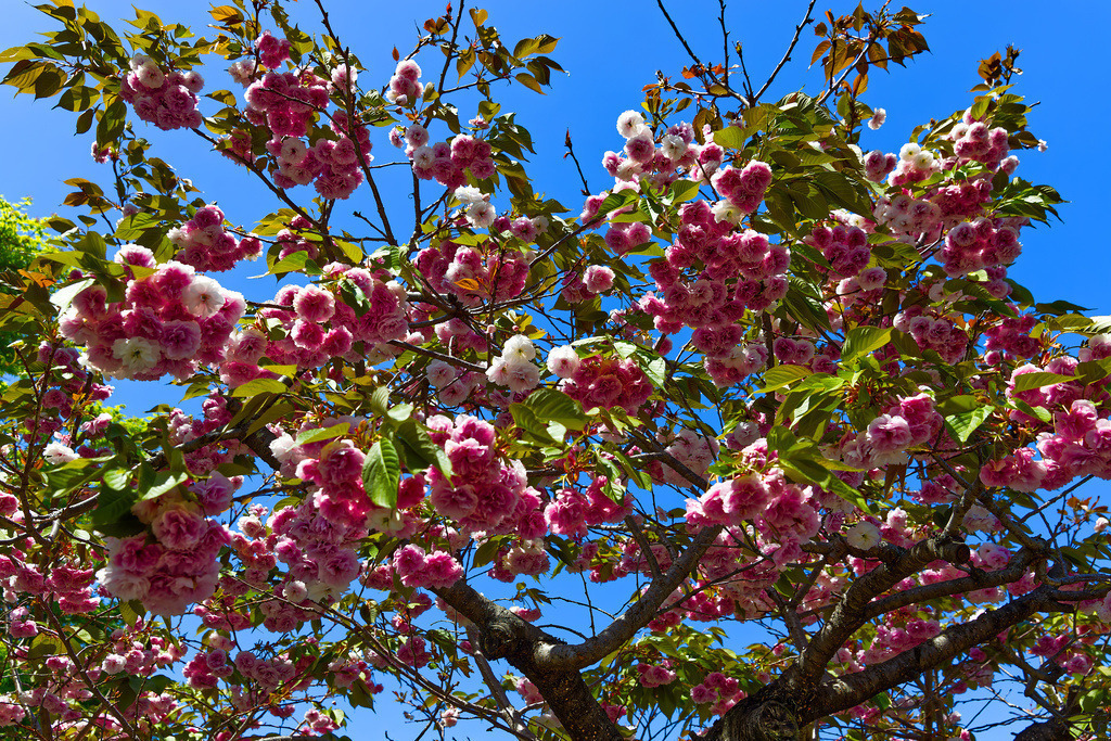 1H5A9292 | ansichtssache