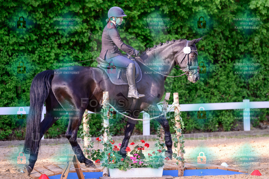 02052026-Giesenbach-03-Speedtrail-0699 | Fokus Hufschlag Fotografie - Realisiert mit Pictrs.com
