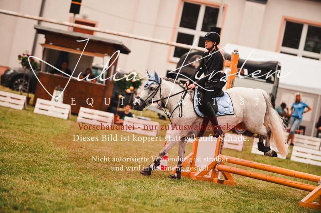 DSC_6965 | Pferde- und Turnierfotografie in Westsachsen. Pferdeportraits, Auftragszeichnungen und intuitive Kunst.