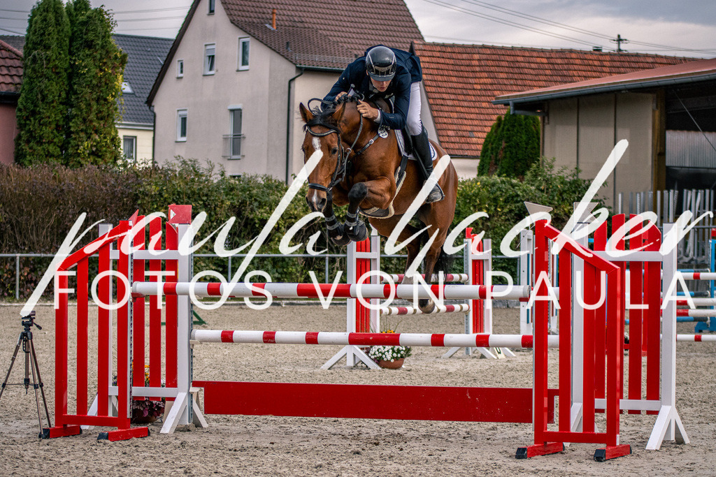 IMG_5949 | Erleben Sie dynamische Sport- und emotionale Tierfotografie in Süddeutschland mit Fotos von Paula. Spezialisiert auf Pferde- und Hundefotografie sowie Sportevents. Kontaktieren Sie mich für einzigartige und ausdrucksstarke Bilder Ihrer besonderen Momente.