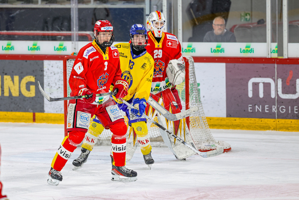 EHCB vs HCD-0707 | Sportbilder, Sportfotograf, Hochzeits- und Eventfotografin, Flugshows, Portraits und Tiershooting, Aviation, Downhill, Nationalleague, Swissleague, International
