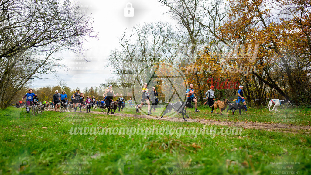 MompixPhotography_Bischwiller24_DI_CoursedeRelais-4 | PayLife