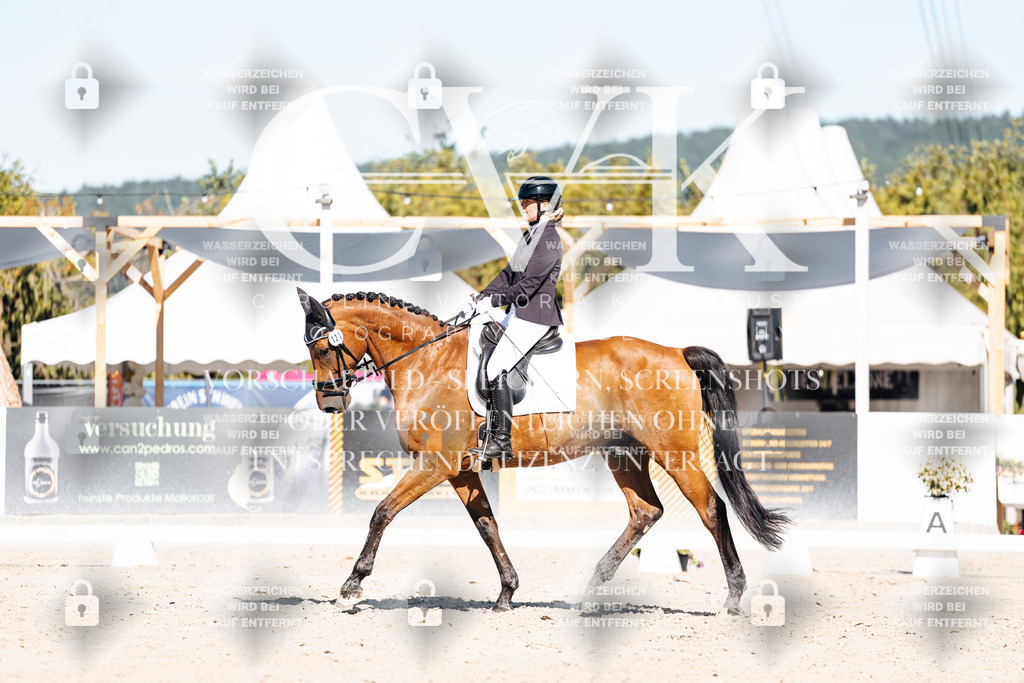 CK908114 | Turnierfotografie Pferdefotografie Trier Rheinland-Pfalz Pferdesport Reitsport Tierfotografie Sportfotografie Pferdevideo Pferdevideografie Equestrianvideography equestrianphotography  - Realisiert mit Pictrs.com