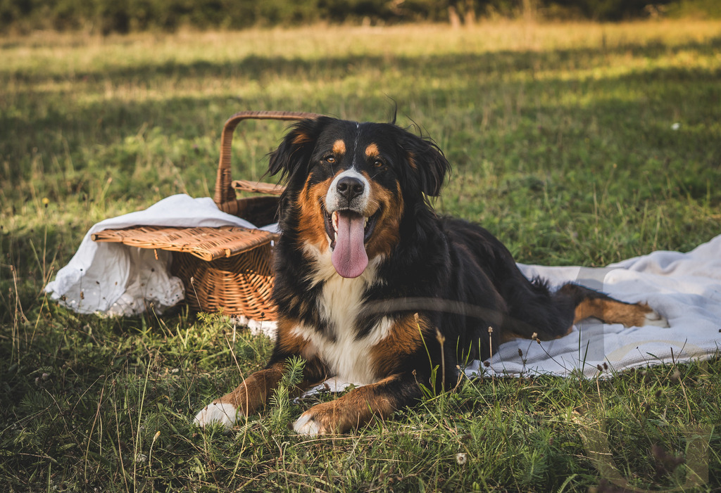 MGFoto-0026 | Newborn - Realisiert mit Pictrs.com