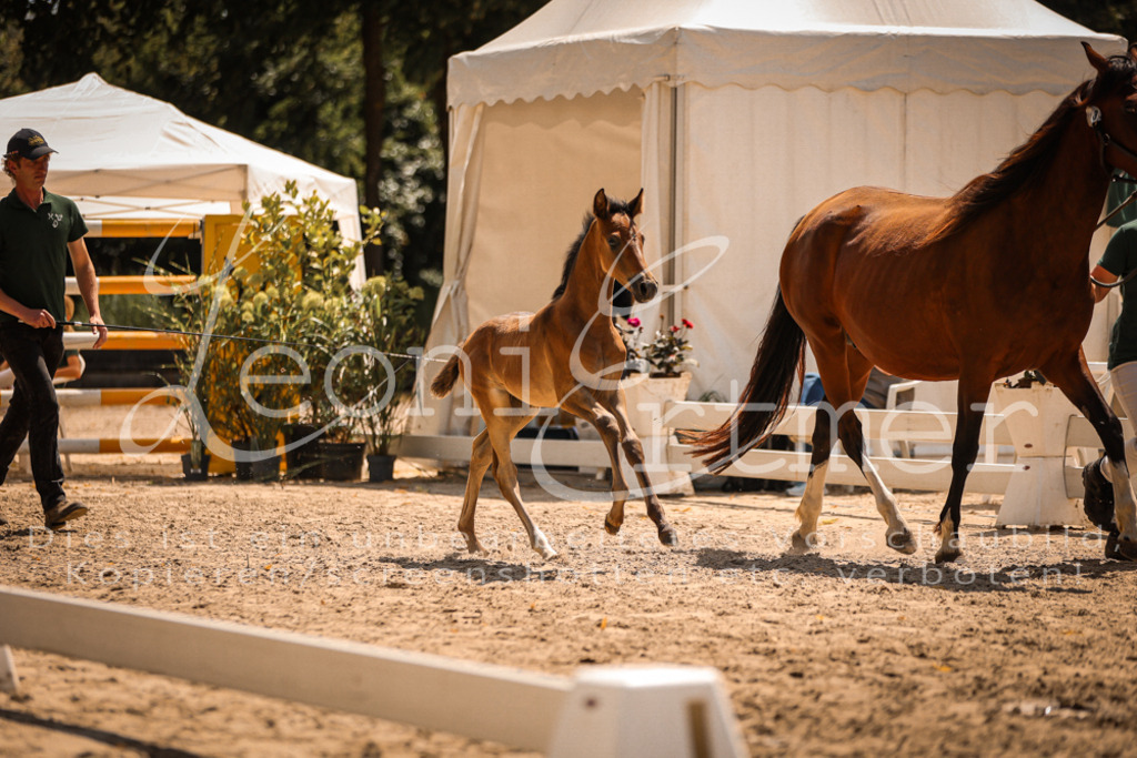 03.DoAB00011 | Leoni Ertmer Photography - Realisiert mit Pictrs.com