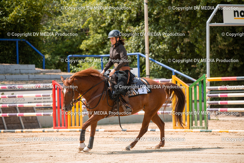 ZS2_8254 | dv-media-shop - Realisiert mit Pictrs.com