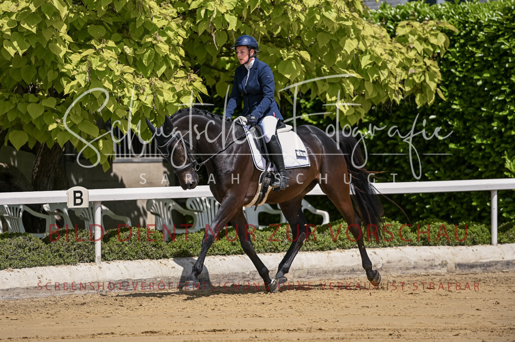 Schugtsche-Aluta25-48.Reitpferfdeprf.-213 | Schugtsche Fotografie - Realisiert mit Pictrs.com