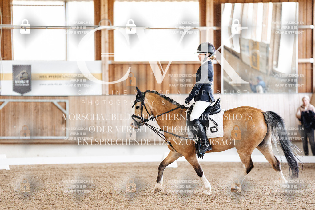 CK909145 | Turnierfotografie Pferdefotografie Trier Rheinland-Pfalz Pferdesport Reitsport Tierfotografie Sportfotografie Pferdevideo Pferdevideografie Equestrianvideography equestrianphotography  - Realized with Pictrs.com