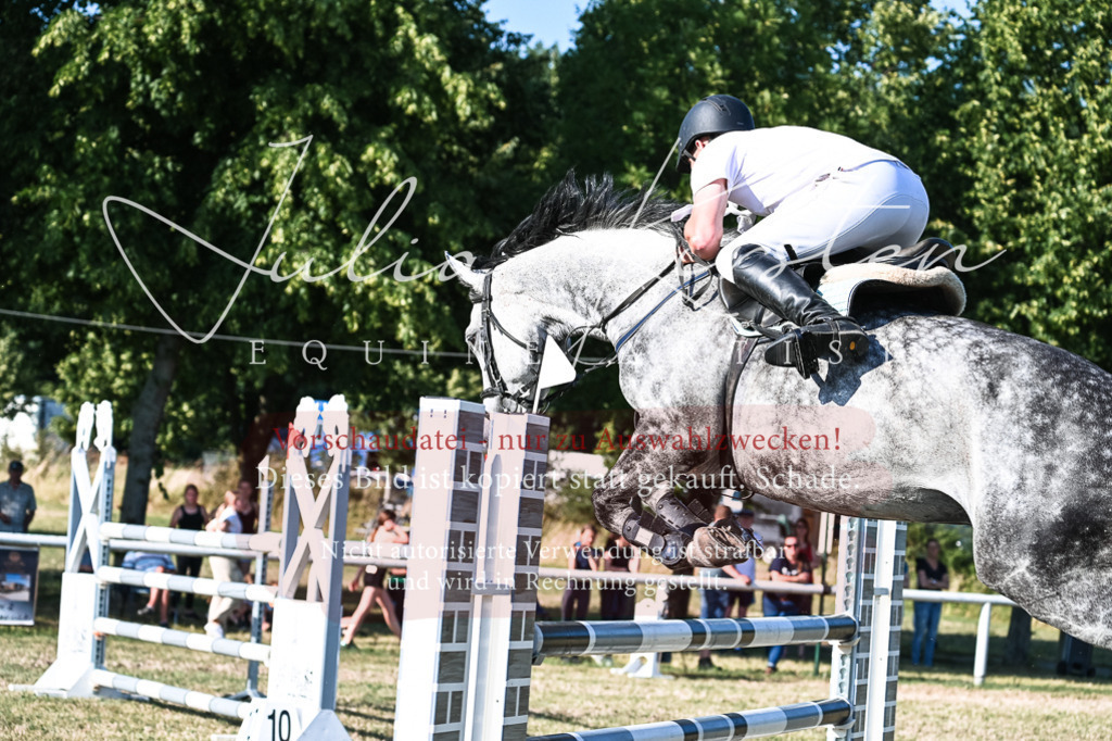 DSC_2642 | Pferde- und Turnierfotografie in Westsachsen. Pferdeportraits, Auftragszeichnungen und intuitive Kunst.