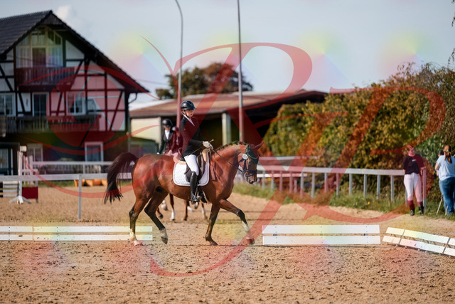 2026_10_03_Siefer-Hof_131529_Z63_77079963 | Professionelle Reitsport-, Turnier- und Eventfotografie von Robert Broda. Galerien mit ausgewählten und bearbeiteten Bildern direkt online ansehen und bestellen.