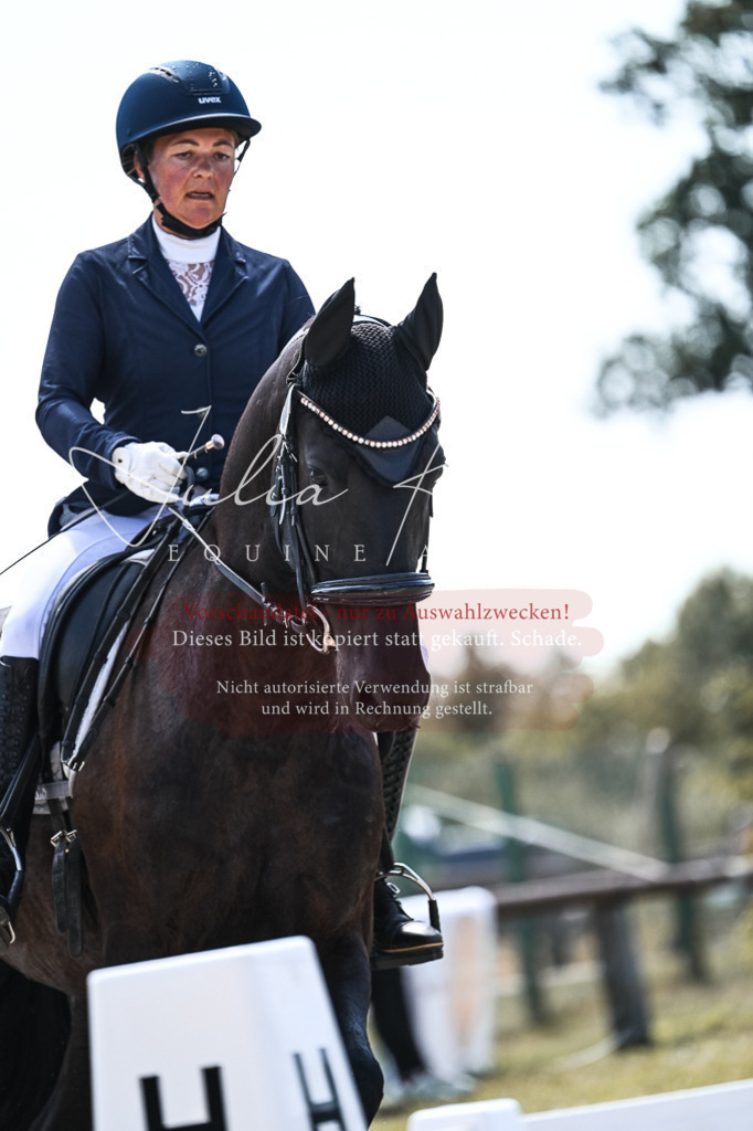 DSC_5403 | Pferde- und Turnierfotografie in Westsachsen. Pferdeportraits, Auftragszeichnungen und intuitive Kunst.