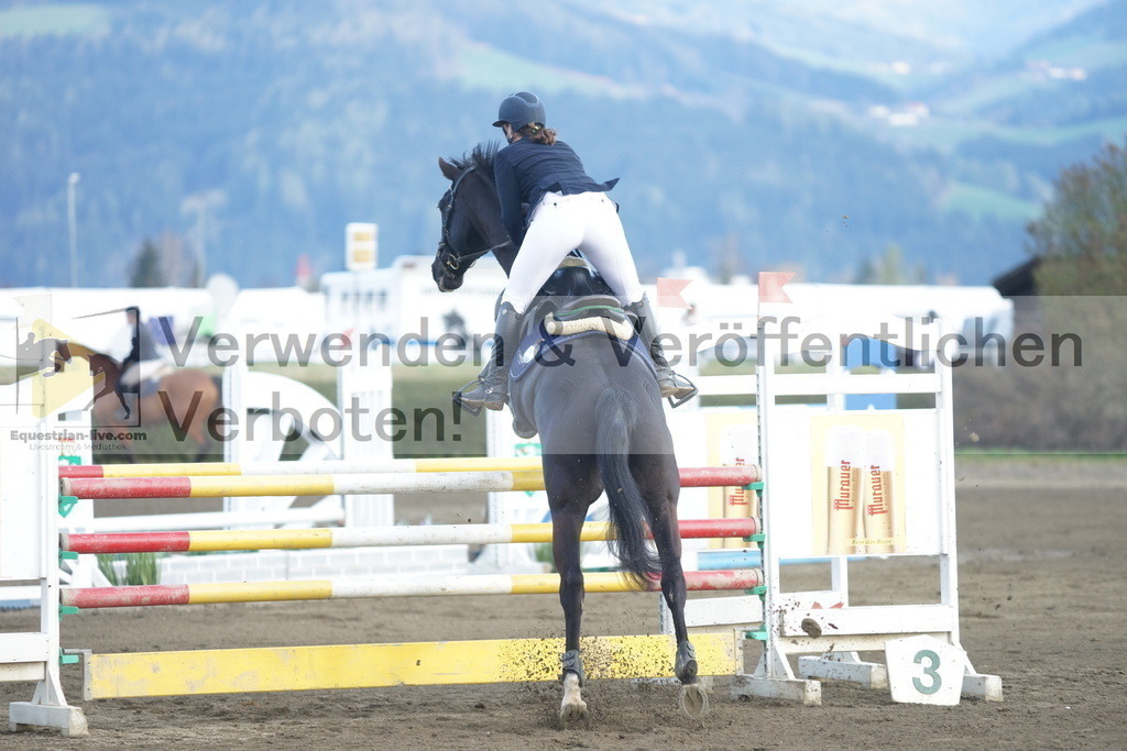 DSC03647 | equestrian-live-com