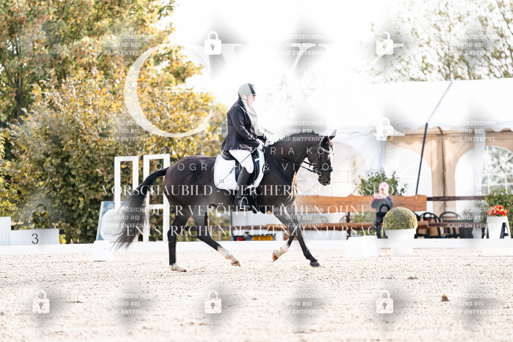 CK900289 | Turnierfotografie Pferdefotografie Trier Rheinland-Pfalz Pferdesport Reitsport Tierfotografie Sportfotografie Pferdevideo Pferdevideografie Equestrianvideography equestrianphotography  - Realisiert mit Pictrs.com