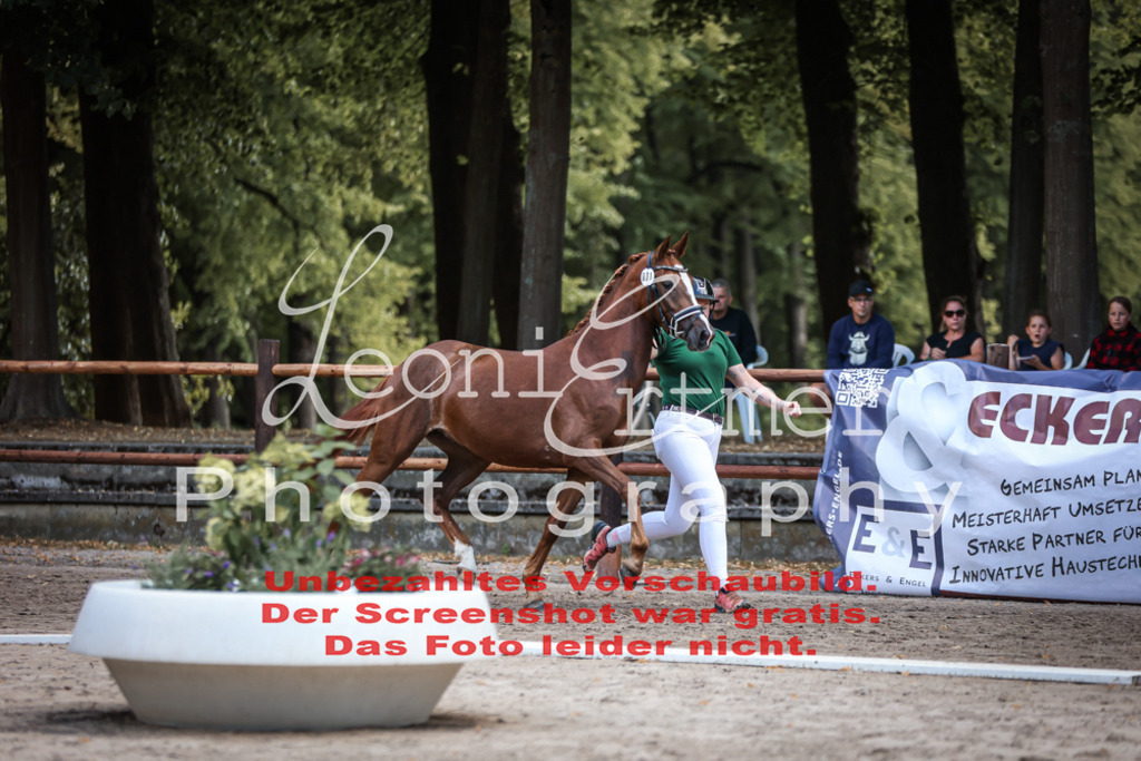 SoER00013 | Leoni Ertmer Photography - Realisiert mit Pictrs.com