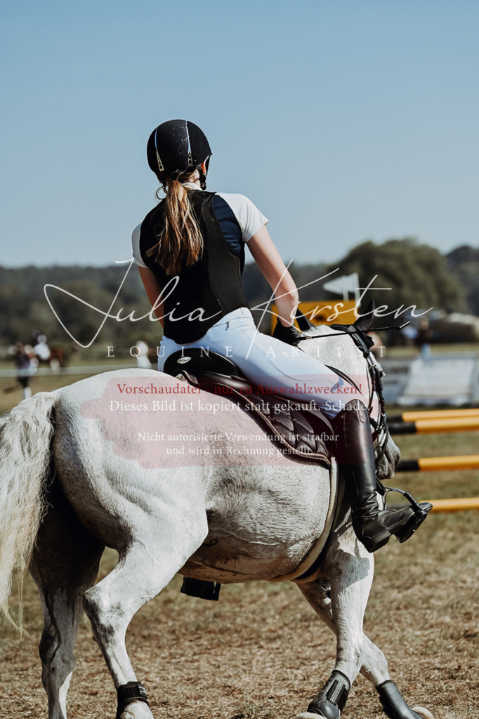 DSC_9449 | Pferde- und Turnierfotografie in Westsachsen. Pferdeportraits, Auftragszeichnungen und intuitive Kunst.