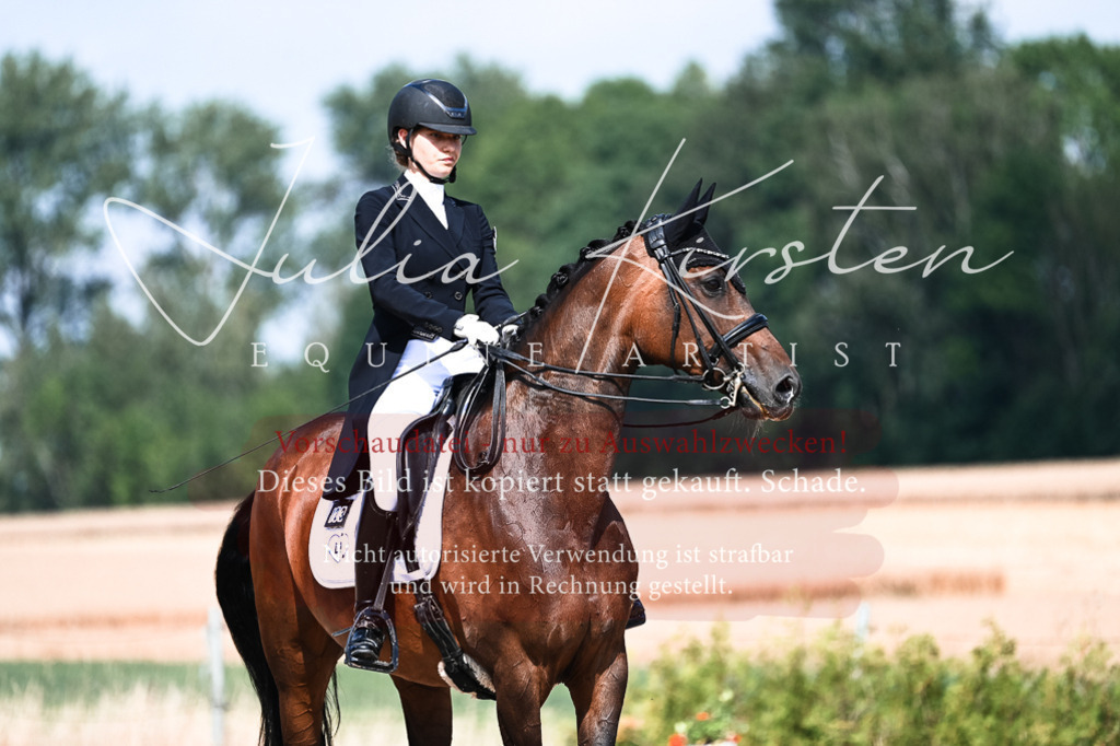 DSC_3047 | Pferde- und Turnierfotografie in Westsachsen. Pferdeportraits, Auftragszeichnungen und intuitive Kunst.