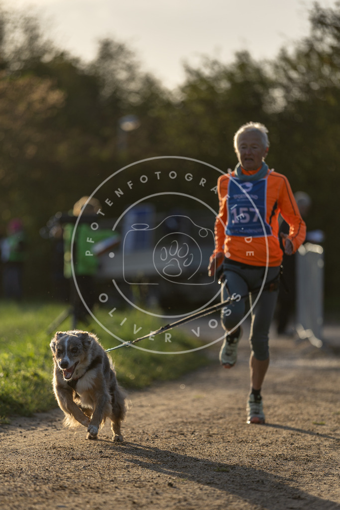 Pfotenfotografie.de_DV3A2593 | Hundefotografie, Tierfotograf, Pfotenfotografie, Fotoshooting Hund, Hunde Portrait, Hundesport, Hundeportraits, Heideshooting, Hunde, Sportfotograf, Hundefotograf, Turnierhundsport, THS, canicross - Realisiert mit Pictrs.com