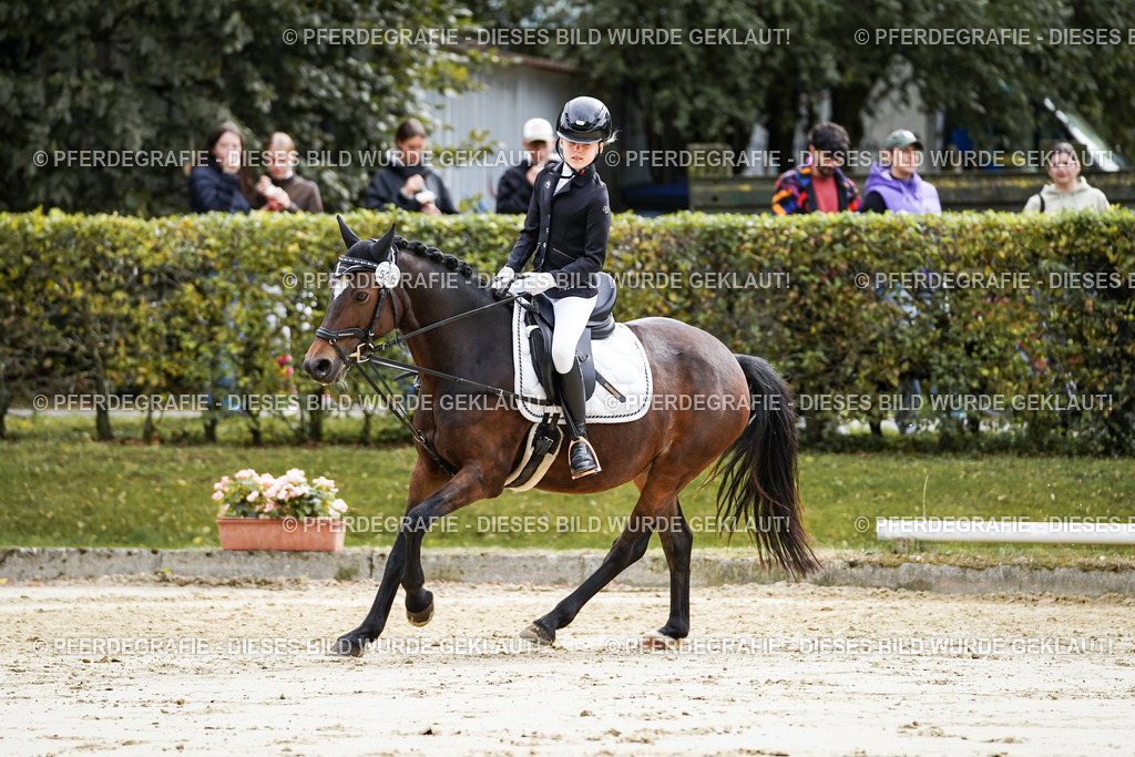 DSC05544 | Pferdegrafie