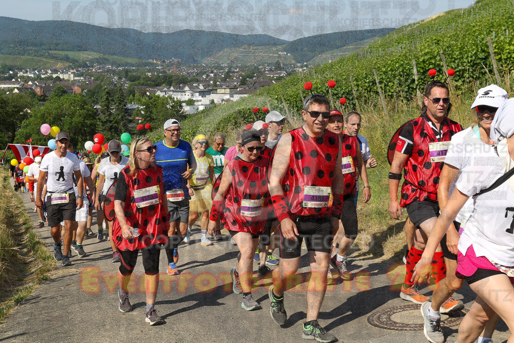 230617_0951_EV9_6708 | Sportfotografie im Rhein-Sieg Kreis, Köln, Bonn, NRW, Rheinland Pfalz, Hessen, etc. Unser Tätigkeitsfeld umfasst den Laufsport vom Volkslauf über den Marathon, Duathlon, Triathon bis zum Ultralauf wie Kölnpfad Ultra oder Schindertrail.