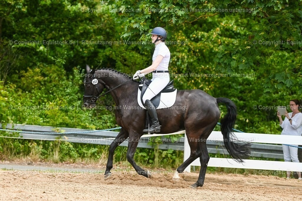 20230715_05_Dressurprüfung Kl.A++_0274 | equistock