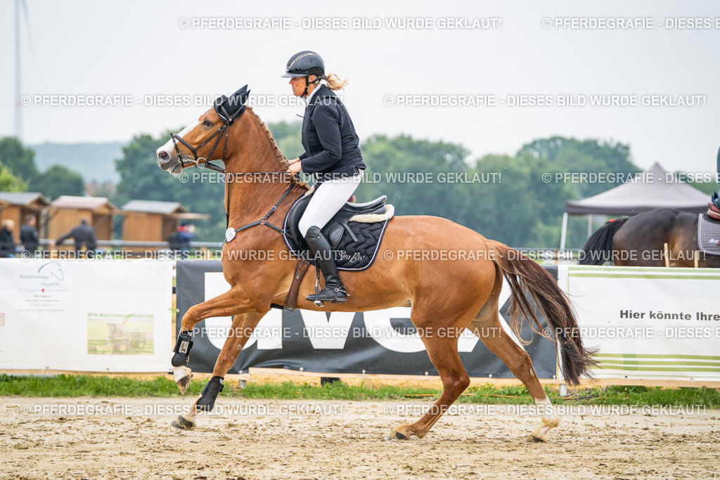 DSC00180 | Pferdegrafie