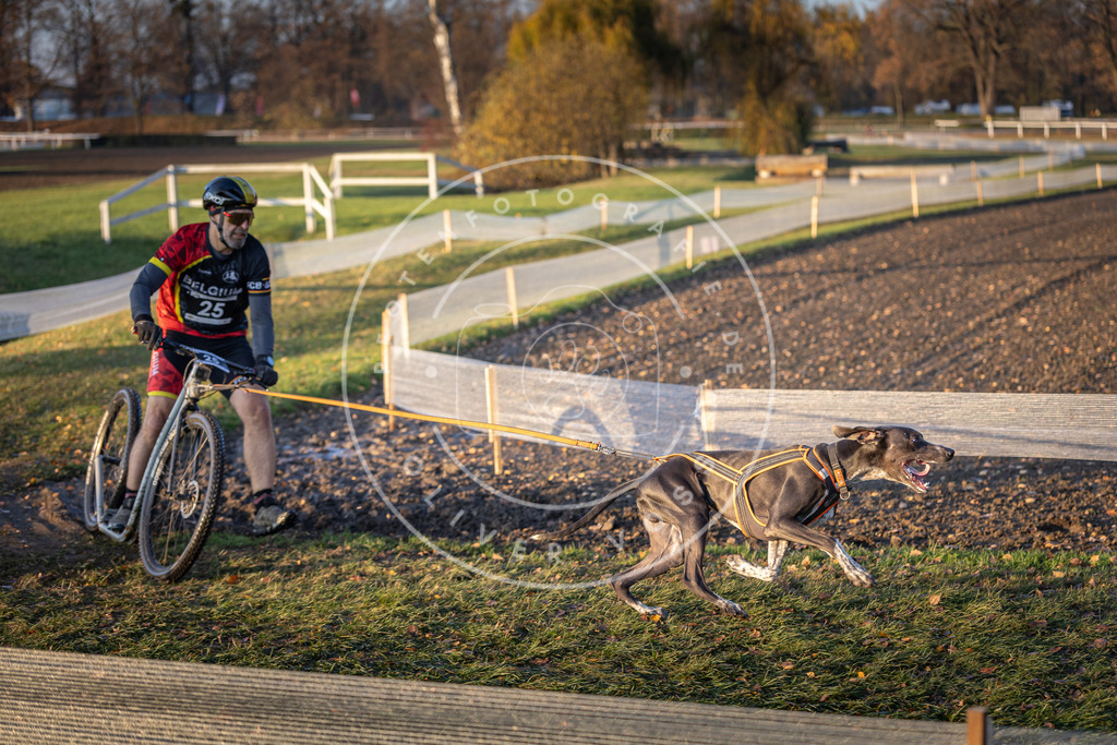 CaniXpix_DV3A9818 | Hundefotografie, Tierfotograf, Pfotenfotografie, Fotoshooting Hund, Hunde Portrait, Hundesport, Hundeportraits, Heideshooting, Hunde, Sportfotograf, Hundefotograf, Turnierhundsport, THS,  - Realisiert mit Pictrs.com