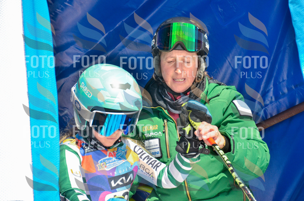 _ELE6039 | holidayphoto