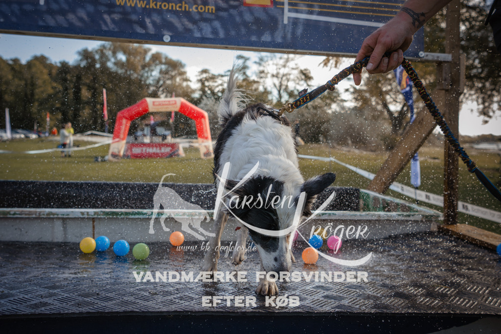 1305_ZZ99105-2 | kk-dogfotos