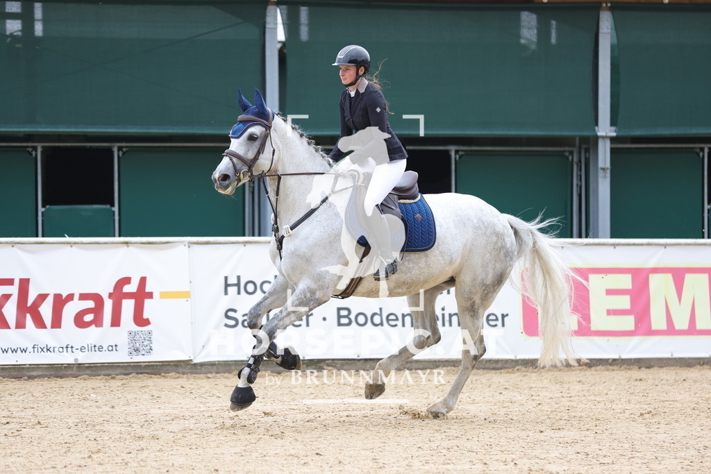 0P6A2949 | Willkommen bei Brunnmayr - Design & Fotografie – Ihrem Spezialisten für Reitturniere und Pferdeveranstaltungen in Oberösterreich, Salzburg und Bayern! Seit über 17 Jahren sind wir leidenschaftlich dabei.