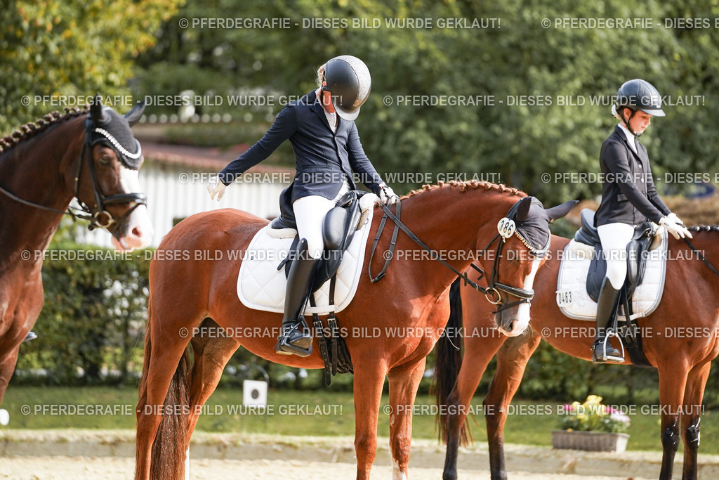 DSC05072 | Pferdegrafie