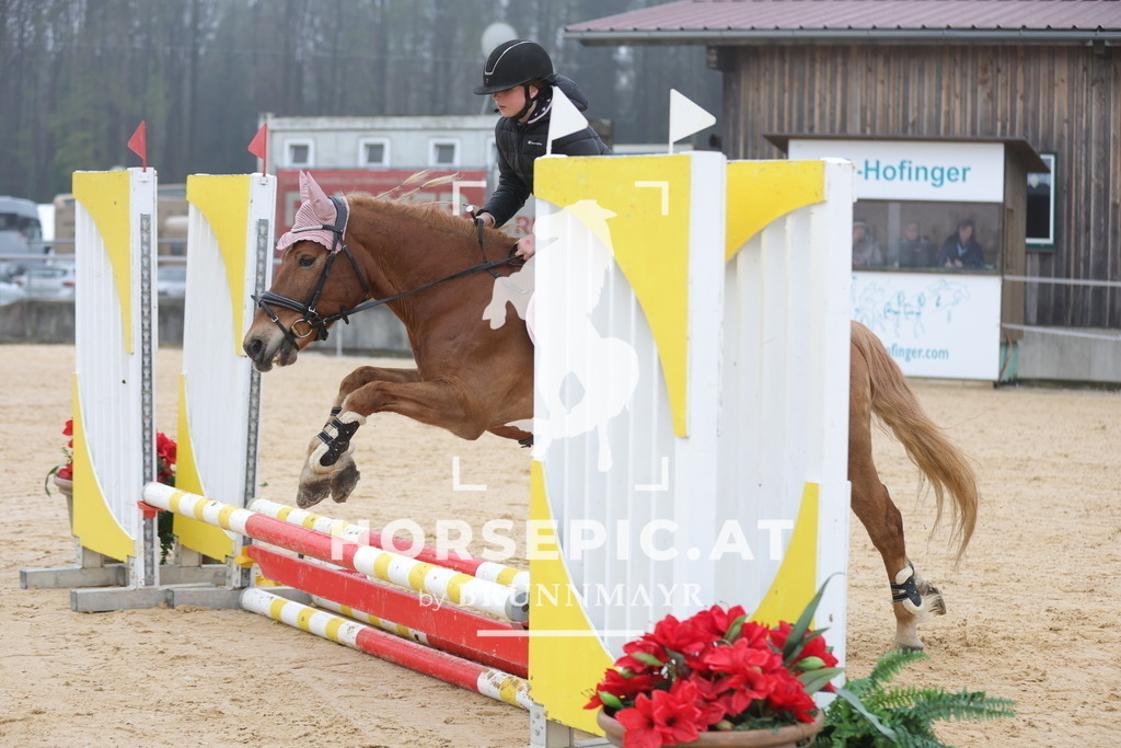 0P6A8272 | Willkommen bei Brunnmayr - Design & Fotografie – Ihrem Spezialisten für Reitturniere und Pferdeveranstaltungen in Oberösterreich, Salzburg und Bayern! Seit über 17 Jahren sind wir leidenschaftlich dabei.