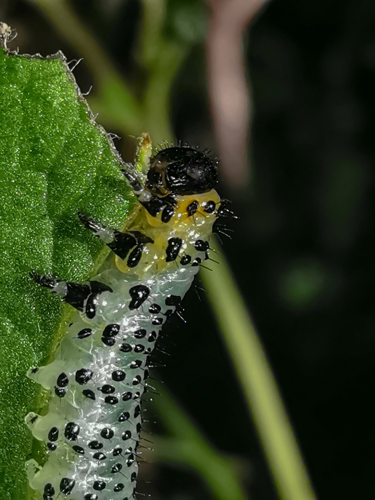 PSX_20230902_001002 | mtkfoto_ - Realisiert mit Pictrs.com