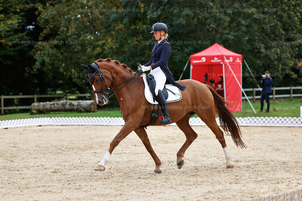 11-238-Dressur S___-StoibPH-993 | working equitationturnier fotograf videograf stoibphotography marixx film working equitation deutschland reitsport turnierfotografie eventfotografie equestrian events