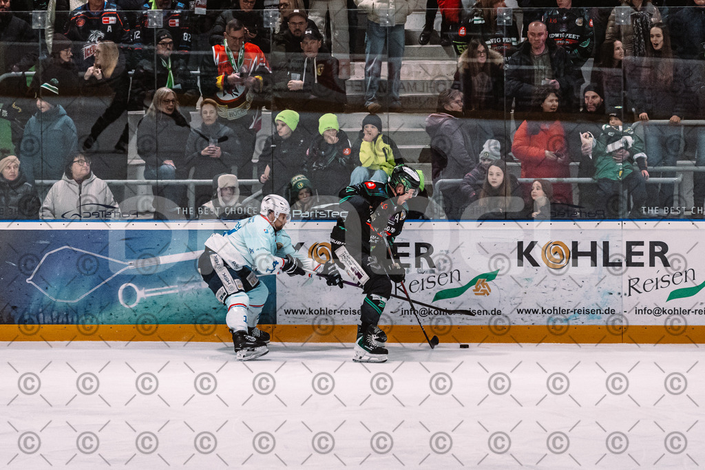 Alligators_vs_Heilbronn_08_02_2026-22 | Höchstadt Alligators Fotogalerie: Eishockey-Action aus Franken. Professionelle Spielfotos, Portraits & Stadionbilder zum Download. Jetzt entdecken! - Realisiert mit Pictrs.com