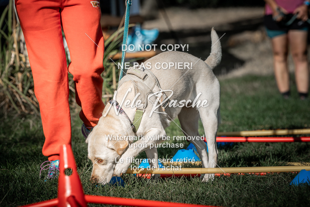 nelerasche_slaw24Sa_67 | nelerasche