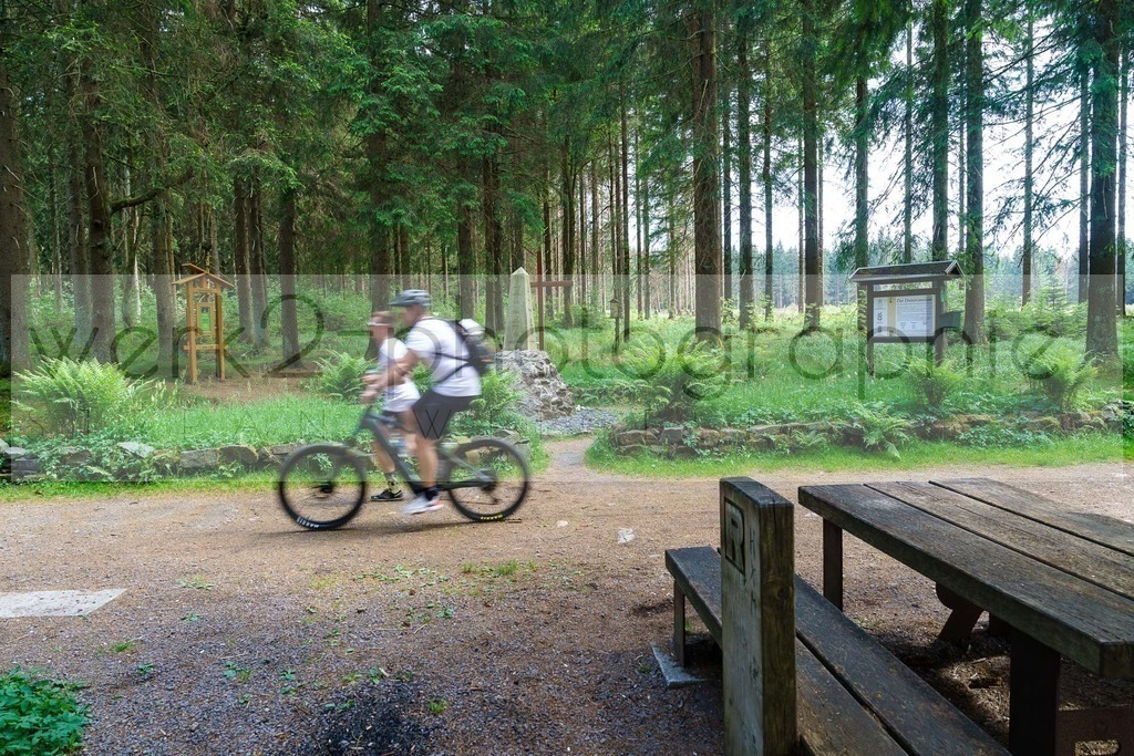 Rennsteig-Staffellauf 2023 | Rennsteig-Staffellauf - Hörschel bis Blankenstein - 17. Juni 2023