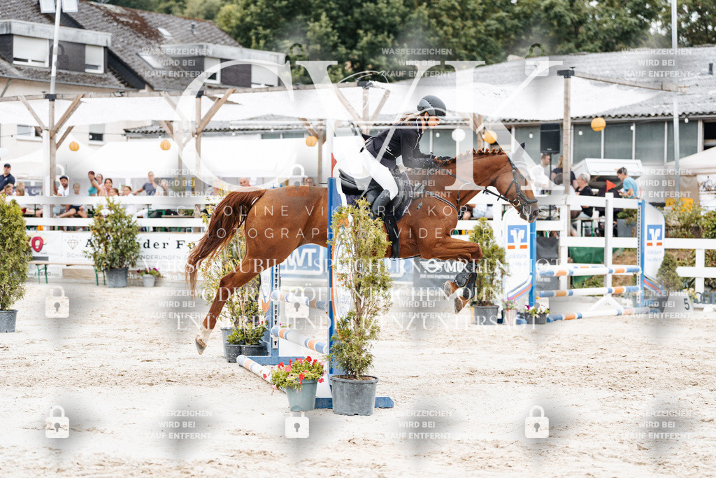 CK908398 | Turnierfotografie Pferdefotografie Trier Rheinland-Pfalz Pferdesport Reitsport Tierfotografie Sportfotografie Pferdevideo Pferdevideografie Equestrianvideography equestrianphotography  - Realisiert mit Pictrs.com