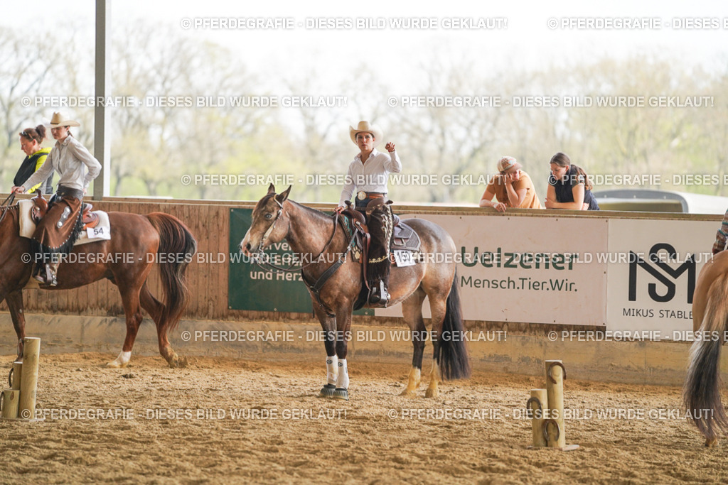 DSC01246 | Pferdegrafie