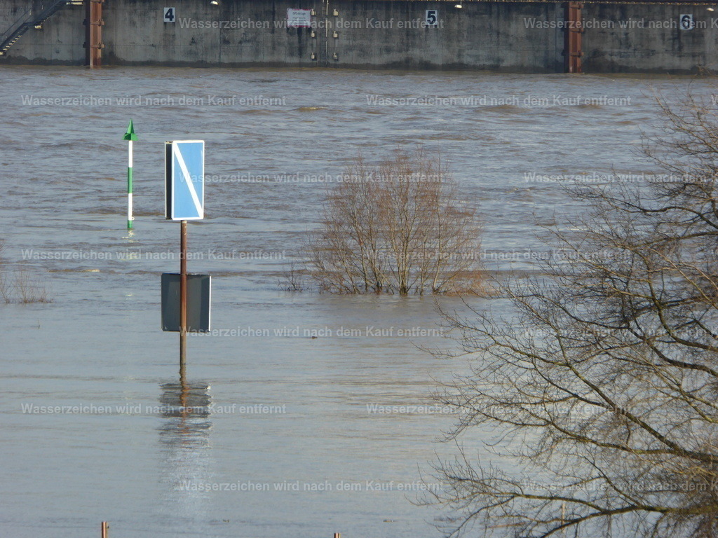 P1000737 | Entdecken Sie die faszinierende Welt von Norbert Michels: Surreale Kunstwerke, hochwertige Fotos, Leinwandbilder & Fotoprodukte wie Tassen mit bild7 - Realisiert mit Pictrs.com