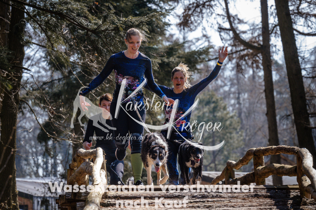 1306_ZZ94408 | kk-dogfotos