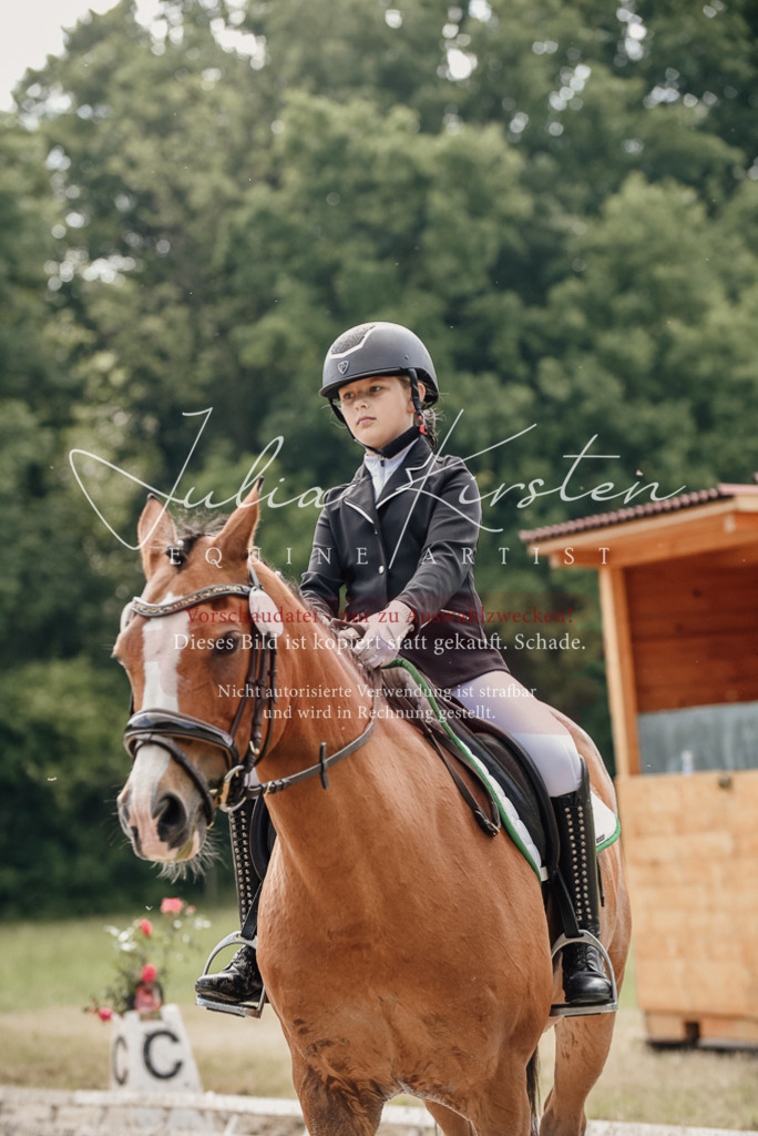DSC_9098 | Pferde- und Turnierfotografie in Westsachsen. Pferdeportraits, Auftragszeichnungen und intuitive Kunst.