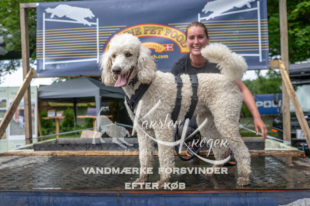 1005_ZZ93941 | kk-dogfotos