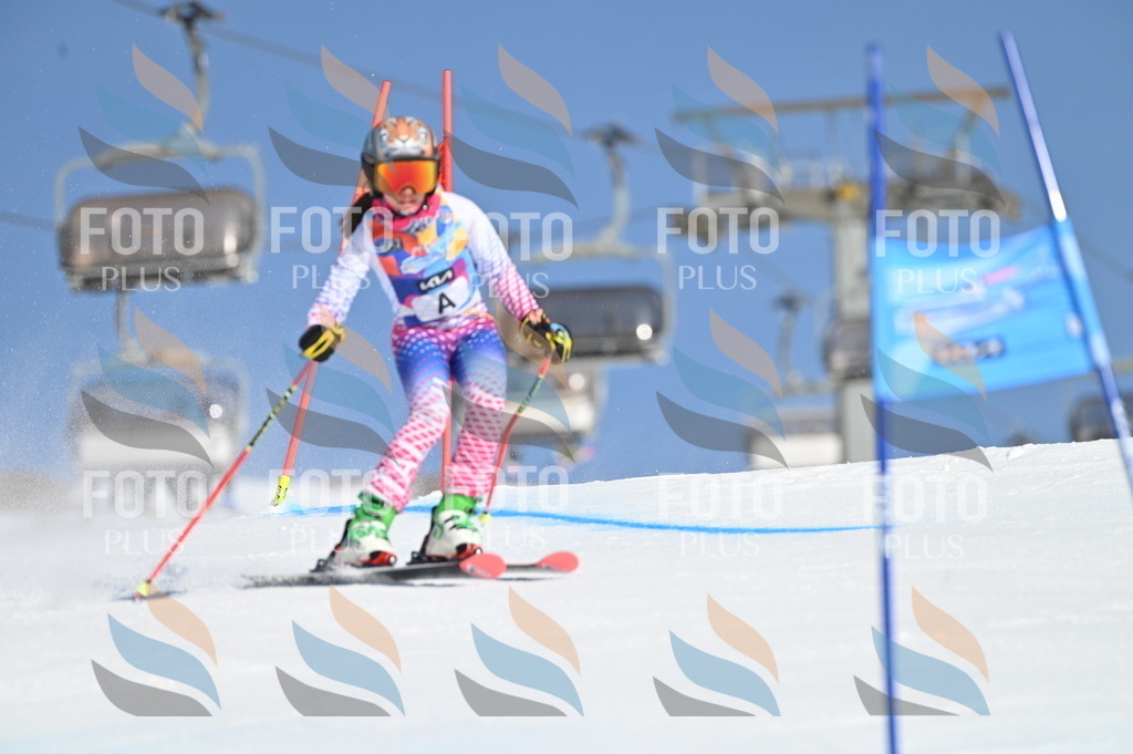 BGV_7547 | holidayphoto