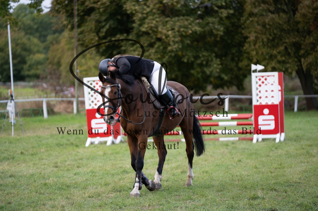 A7V06452 | Pferdefotograf